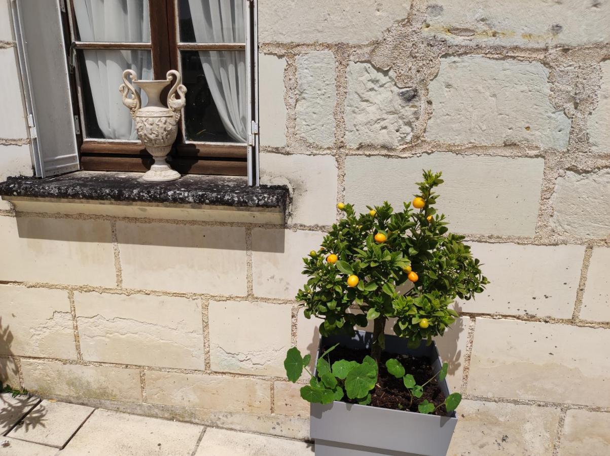 Le Manoir Des Roches Acomodação com café da manhã Bourré Exterior foto