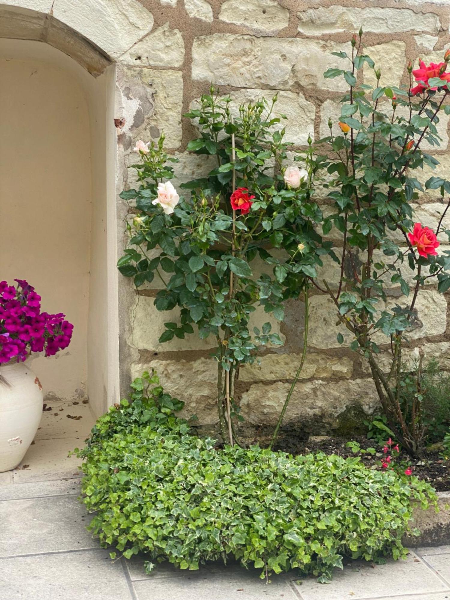 Le Manoir Des Roches Acomodação com café da manhã Bourré Exterior foto